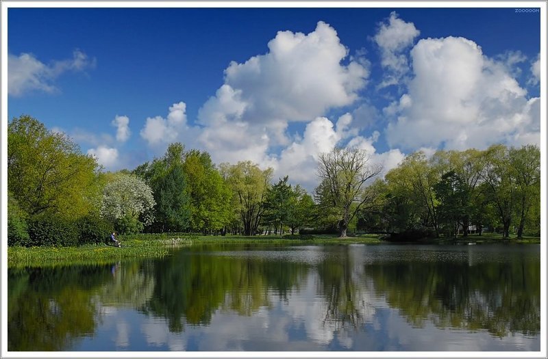 петербург,парк,рыбак Утро в весеннем паркеphoto preview