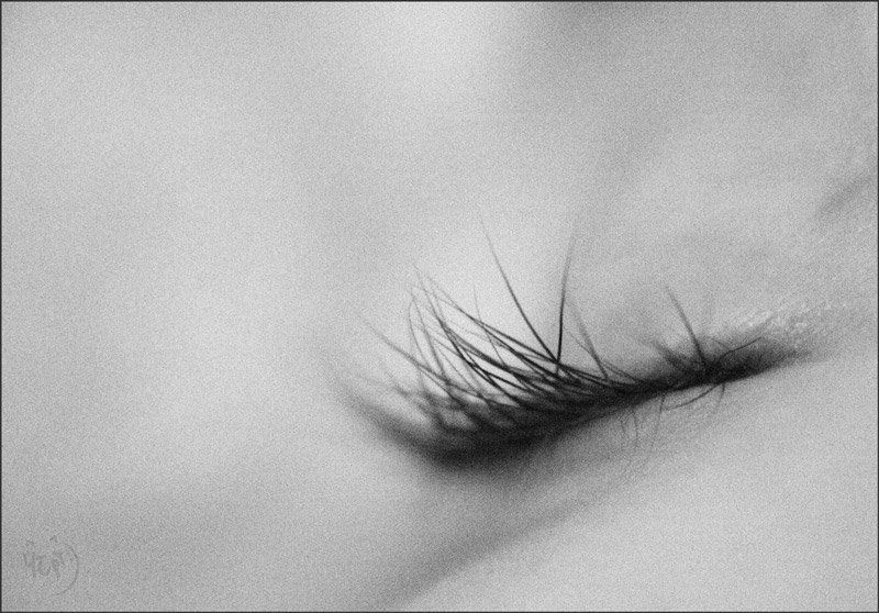 глаза, ресницы, соль заблудитсяphoto preview