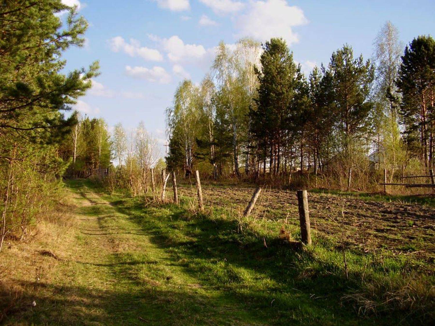 весна, вечер, тропинка, забор, лес, Наталья Герасименко