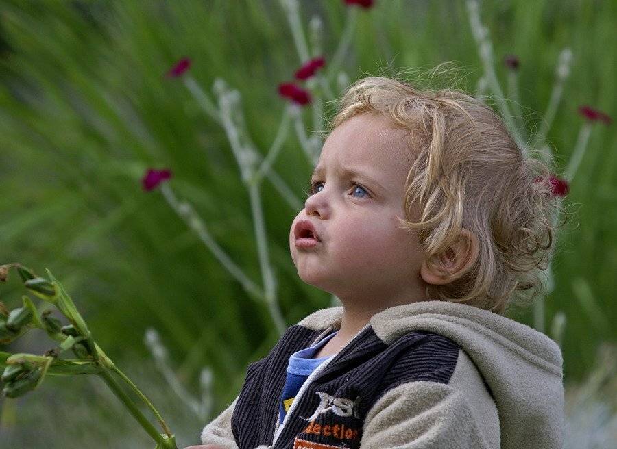 Куда прячется солнышко ?. Автор: Borsov Michail , Borsov Michail