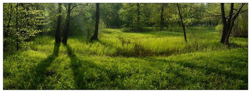 утро, солнце, весна, тишина, нет людей мягкое утроphoto preview