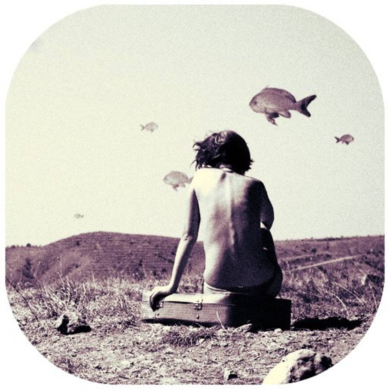 рыббы, крым, чемодан, Яна Денисенко