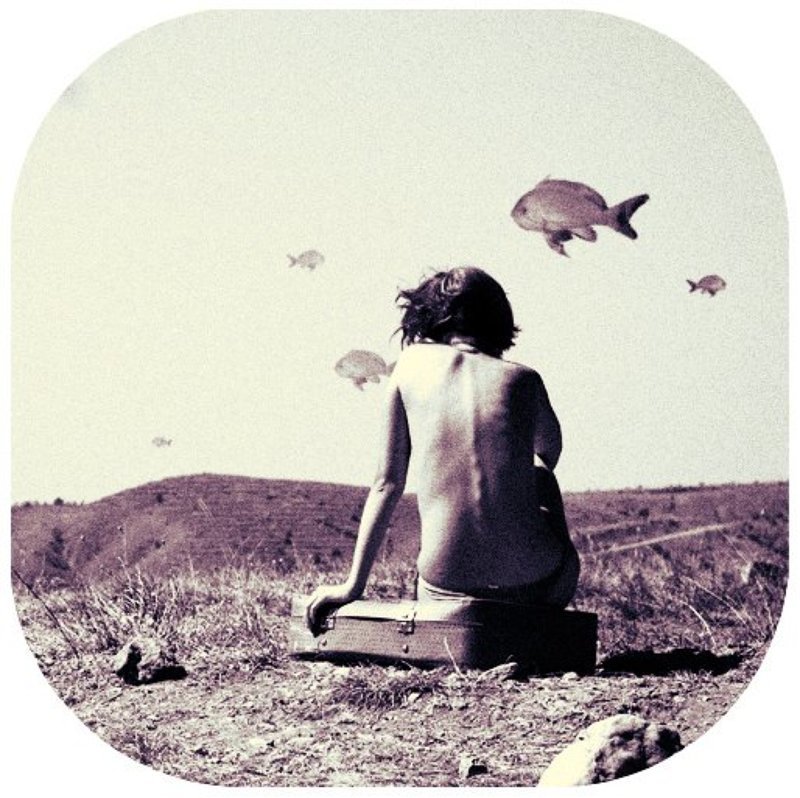 рыббы, крым, чемодан Советы рыбьего доктораphoto preview