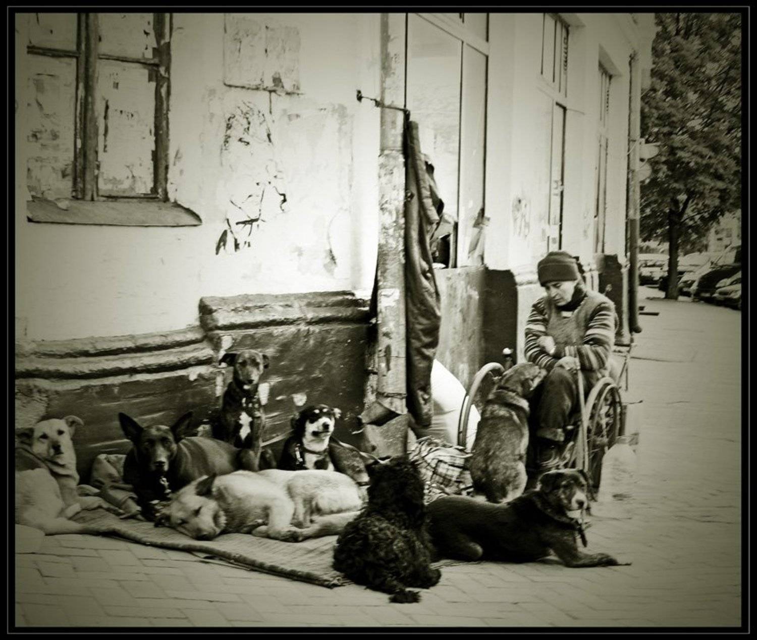 , Алексанр С.