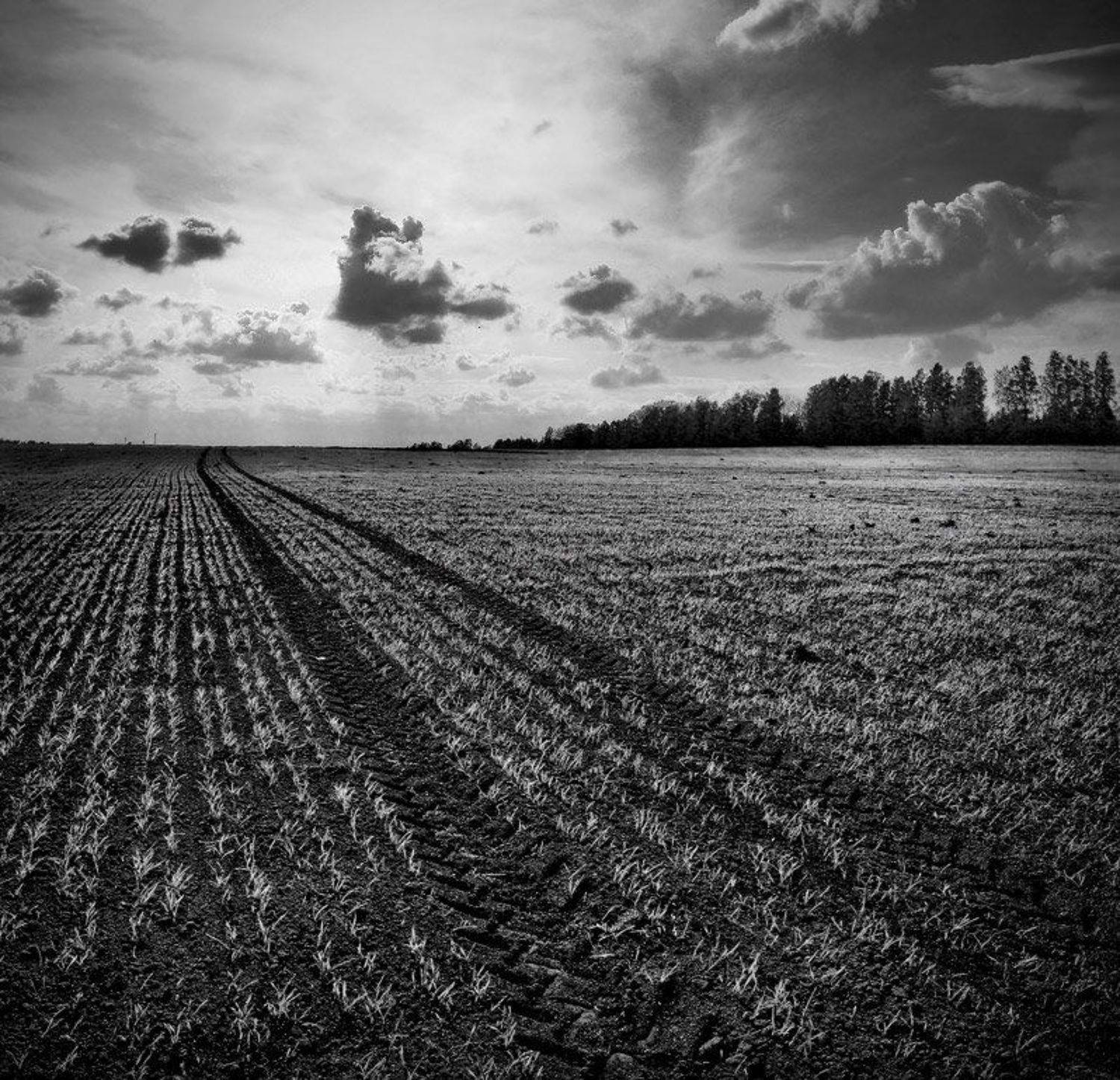 -. Автор: Сергей Прокошин чб, Сергей Прокошин