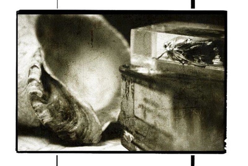 Крошка Цахес.photo preview