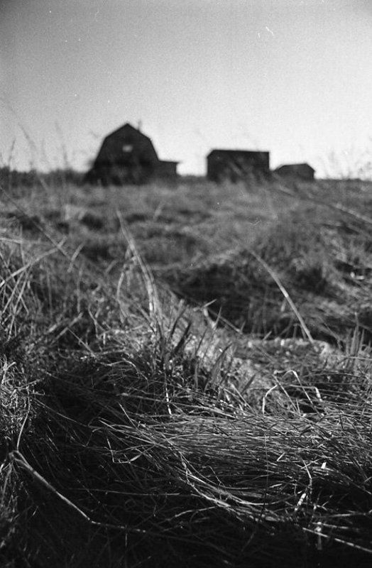 35мм, пленка, ч/б *** фото превью