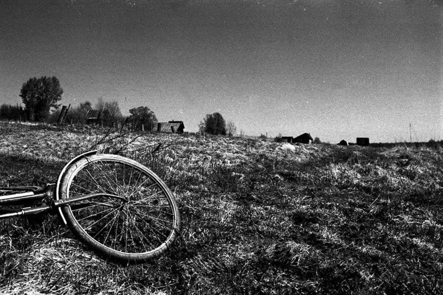 ***. Автор: Berezin Saveliy 35мм, пленка, ч/б, Berezin Saveliy