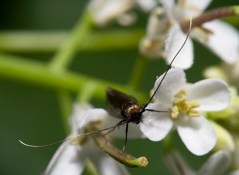 Пра усыphoto preview