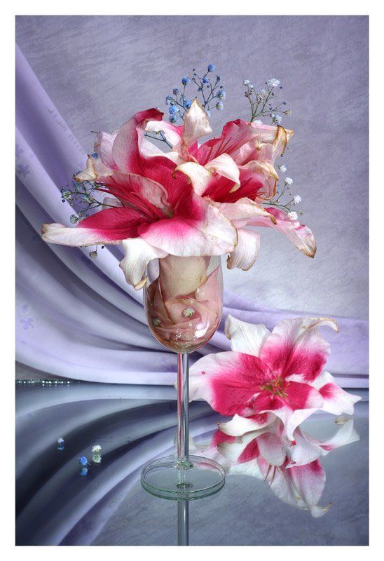 лилии, лепестки роз, световая кисть Коктейль из лилийphoto preview