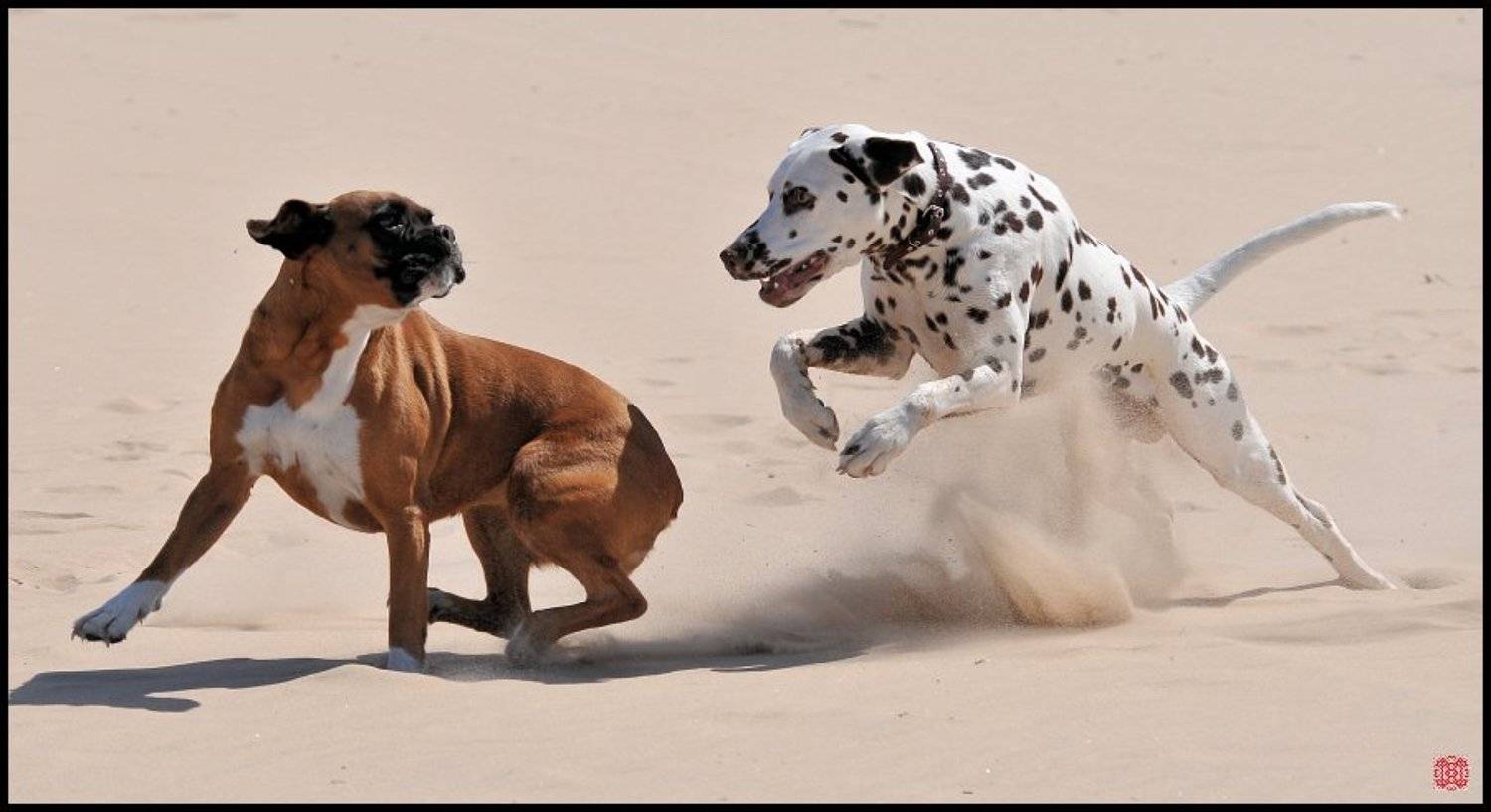 Давай поиграем!. Автор: Cairns (Павел Васильев) vitalight araghorn the king, Cairns (Павел Васильев)
