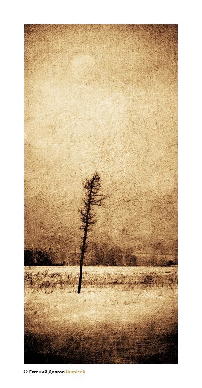 зима, снего, небо, коллаж, дерево, поле ***photo preview