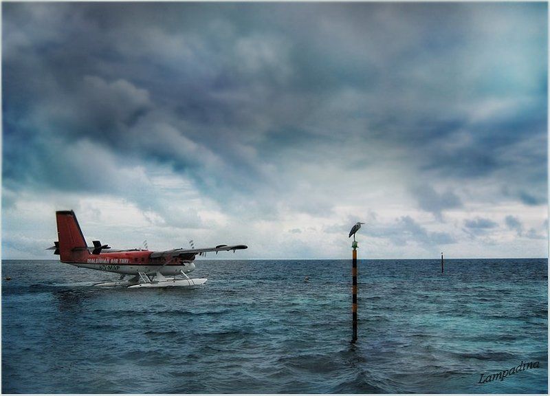 индийский океан, мальдивы, самолет-такси, птица, гроза Такси на Дубровку заказывали?)photo preview