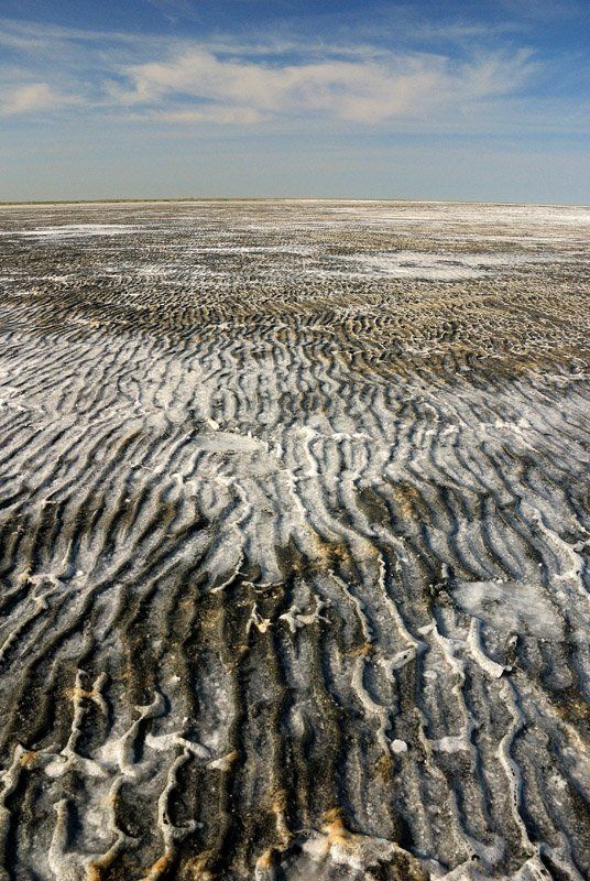 Гребни Эльтонаphoto preview