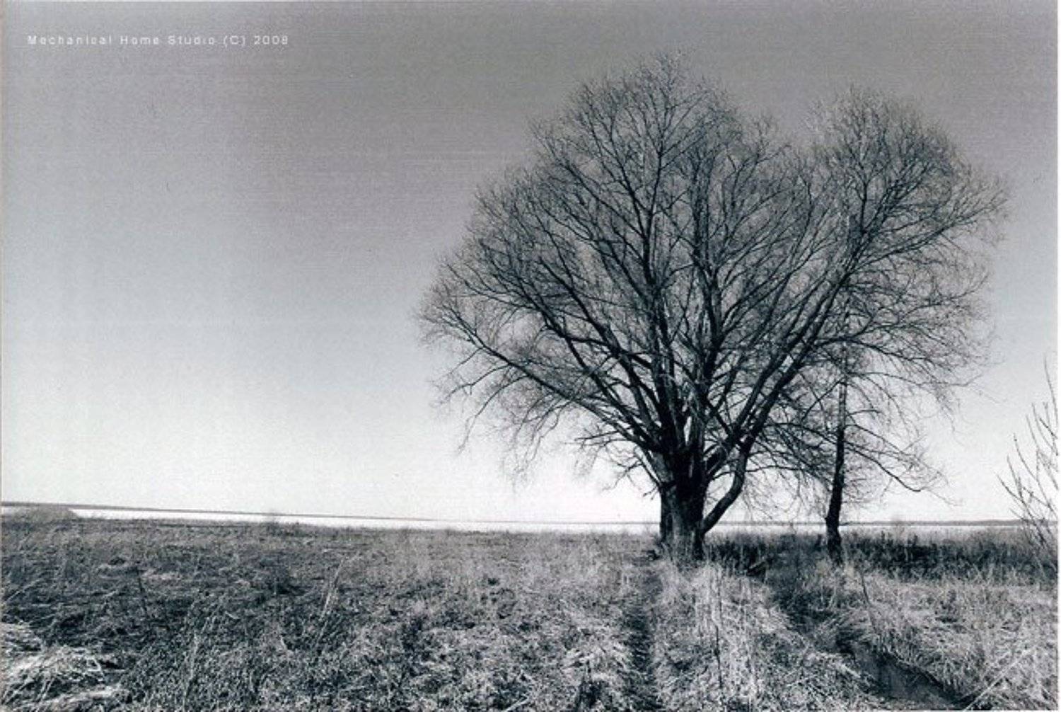 dark folk, Сборщик