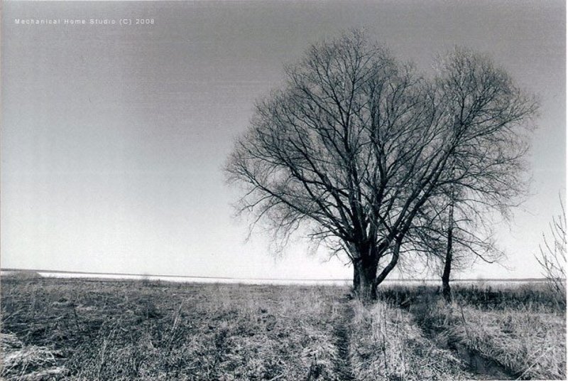 dark folk ...photo preview