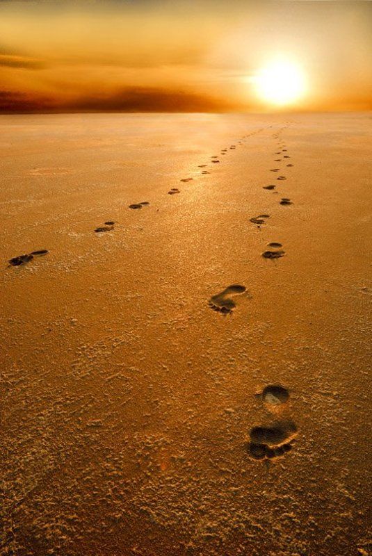 следы,солнце,пустыня,эльтон,татаринцев Нелегкий путь ....photo preview