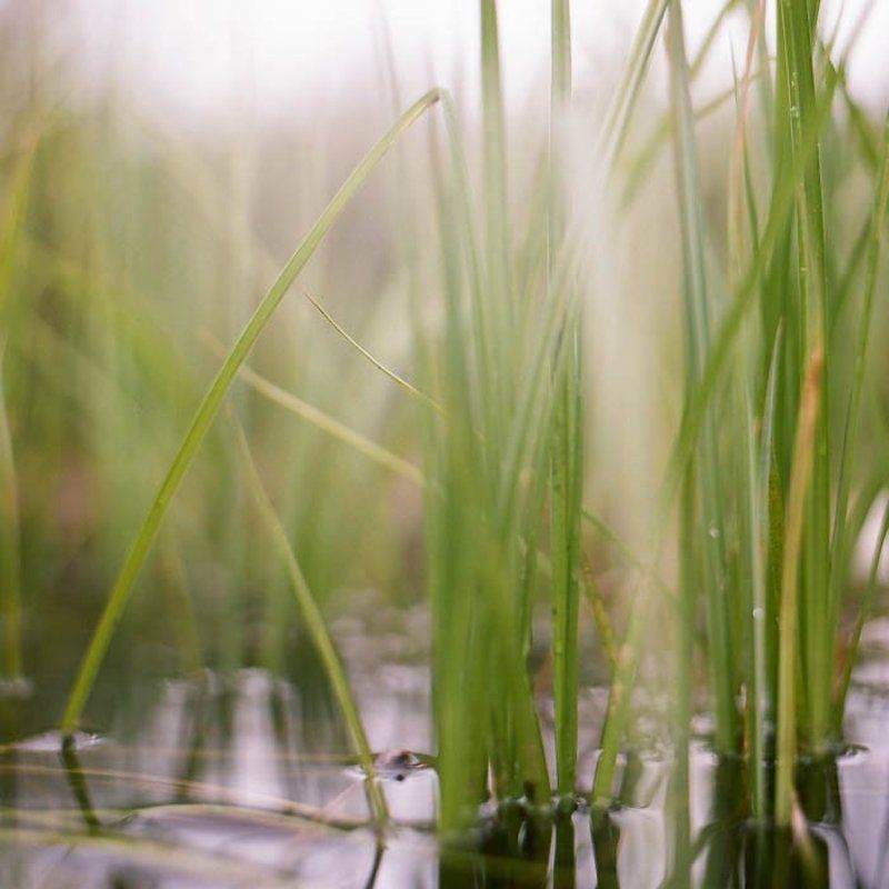 6x6, 120, киев-6с, волна-3, kodak porta 160 vc ***photo preview