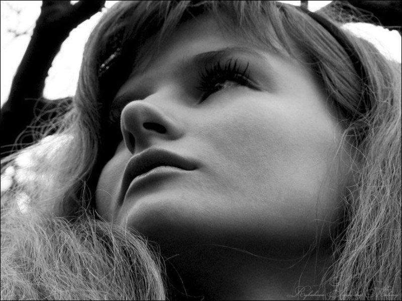 ...про портрет...photo preview