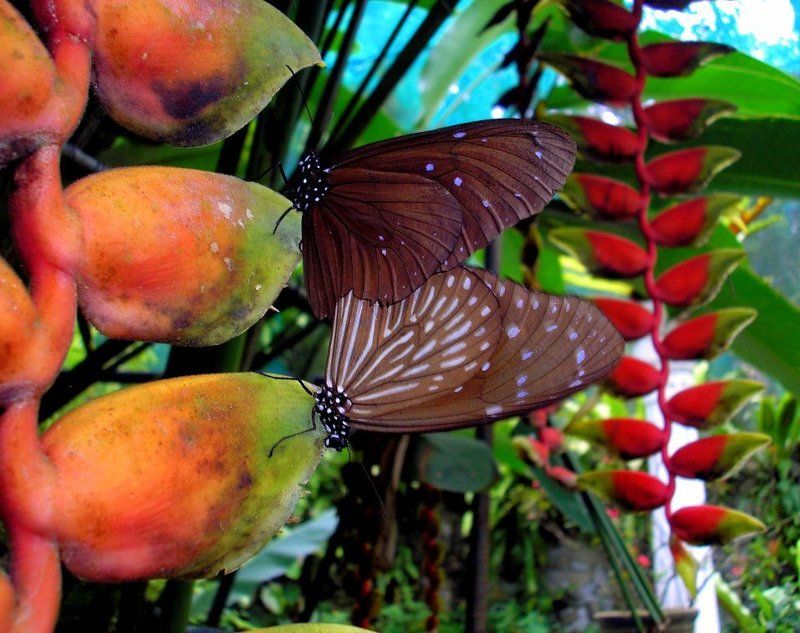 мгновение любвиphoto preview