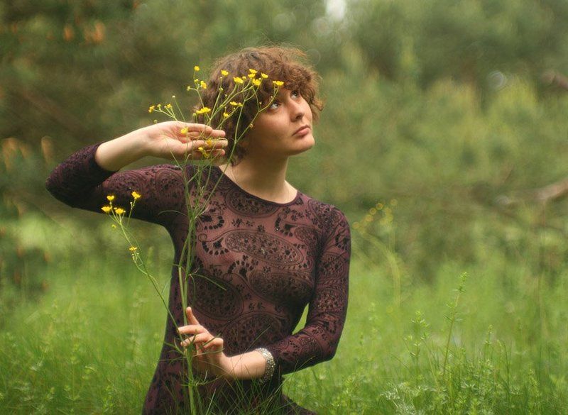 тонкие стебли бликовphoto preview