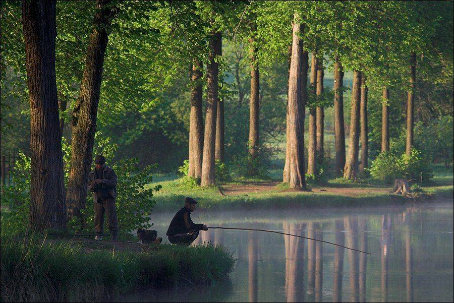 , Сергей Чубаров