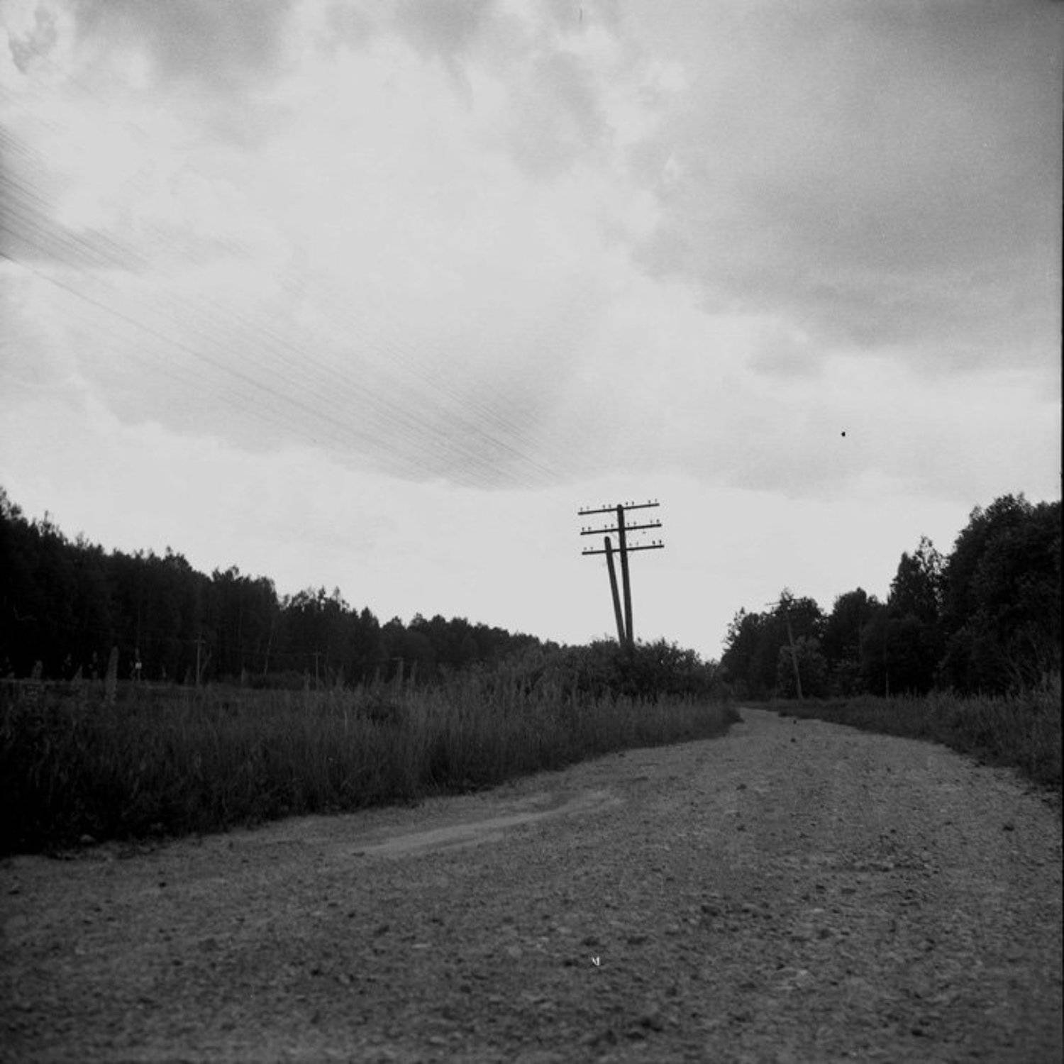 ***. Автор: Berezin Saveliy пленка, чб, 6x6, Berezin Saveliy