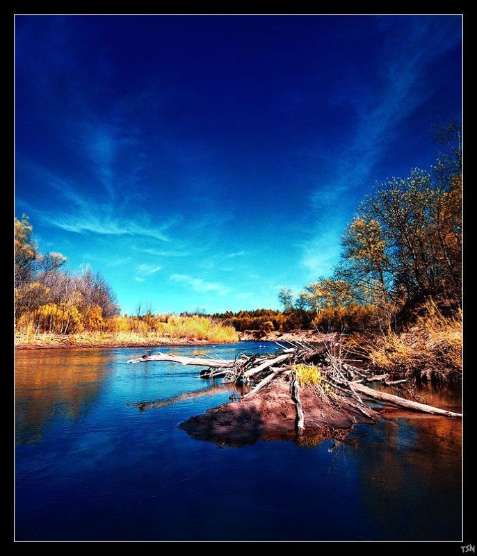 Лесная речкаphoto preview