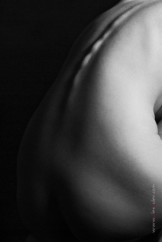 lines,ню,свет,тень,форма Linesphoto preview