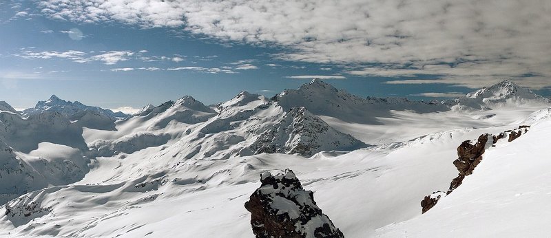 Укутанные снегомphoto preview