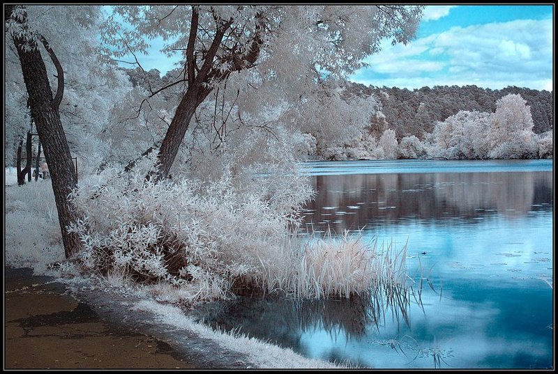 ик, infra red, инфракрасная съемка Синий, синий, иней.photo preview