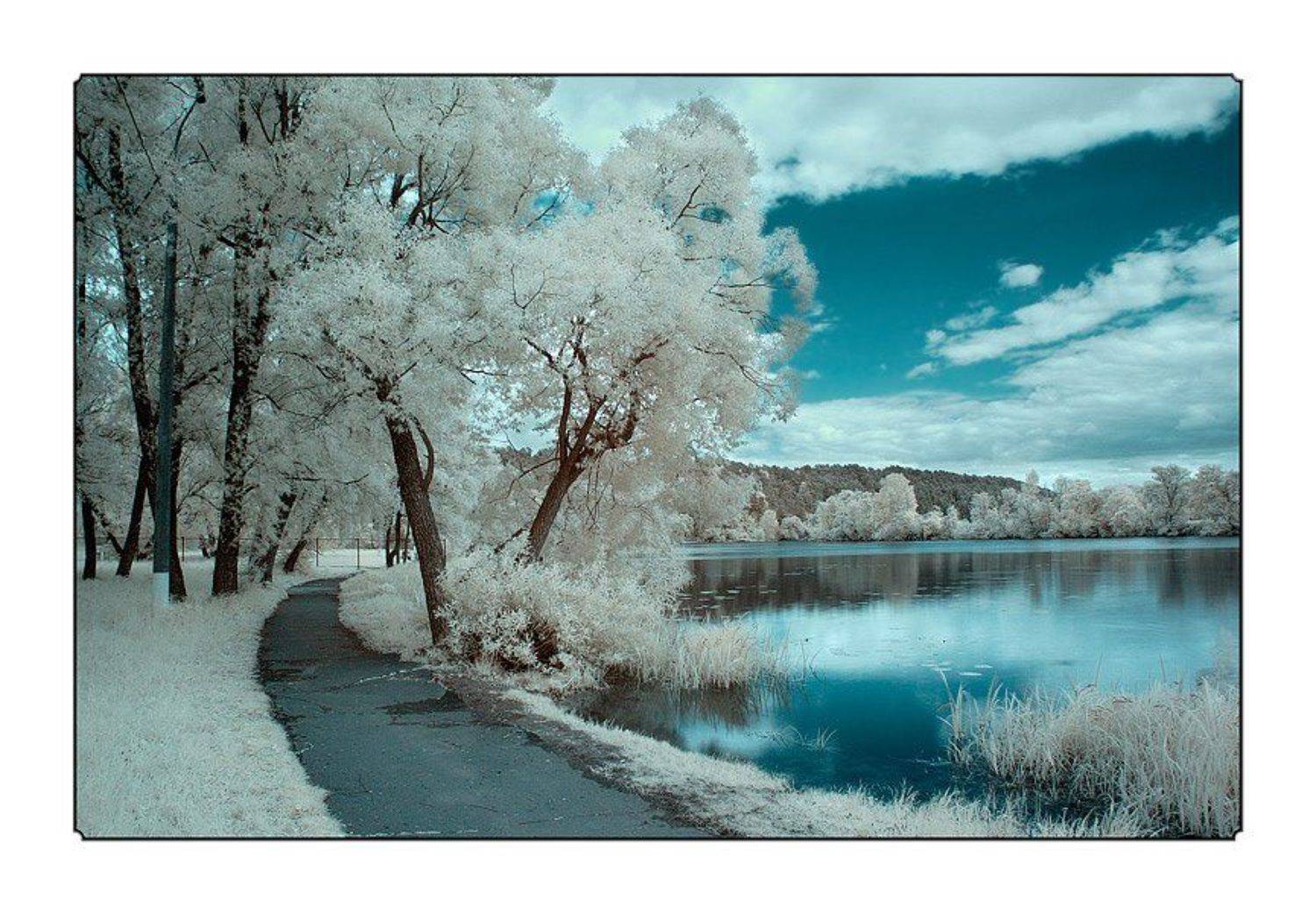 ик, infra red, инфракрасная съемка, Капустин Николай