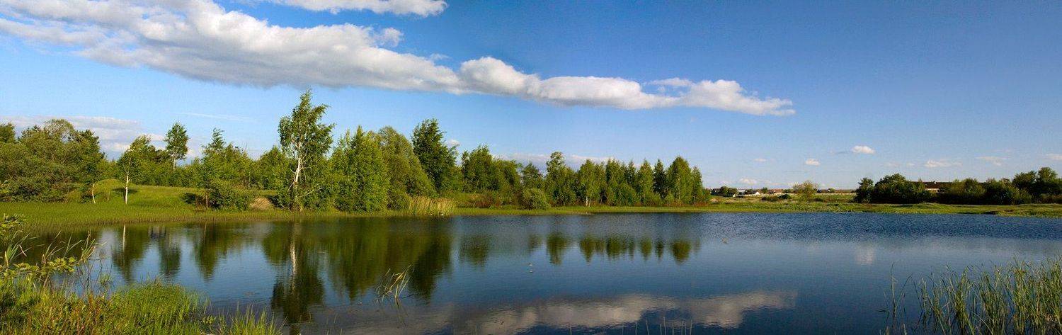 лето пруд облака, Георгий