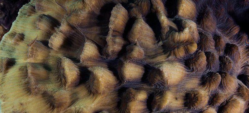 красное, море. Пролетая над горами Красного моря..photo preview