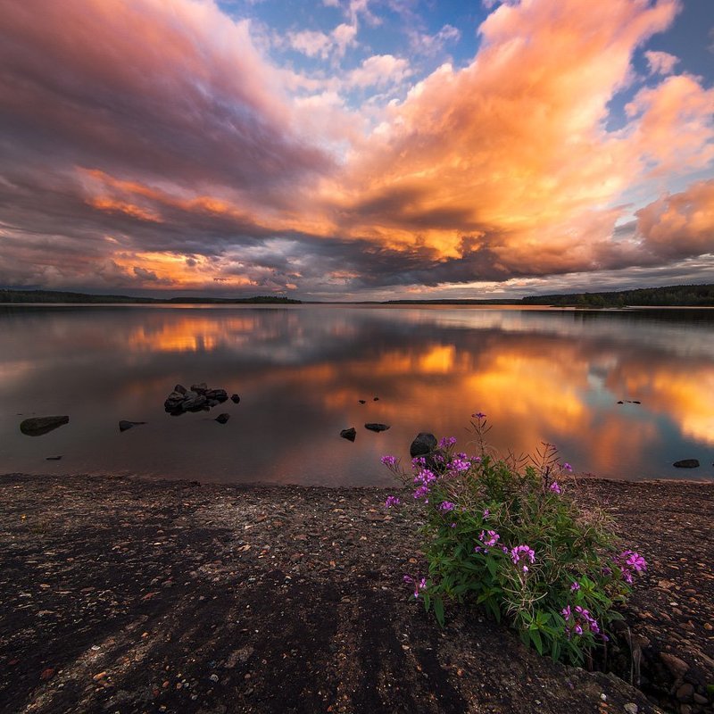 Закат на Волчихинскомphoto preview