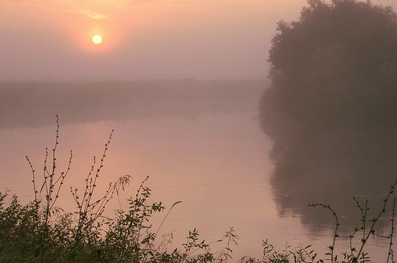 Туманный июль 2photo preview