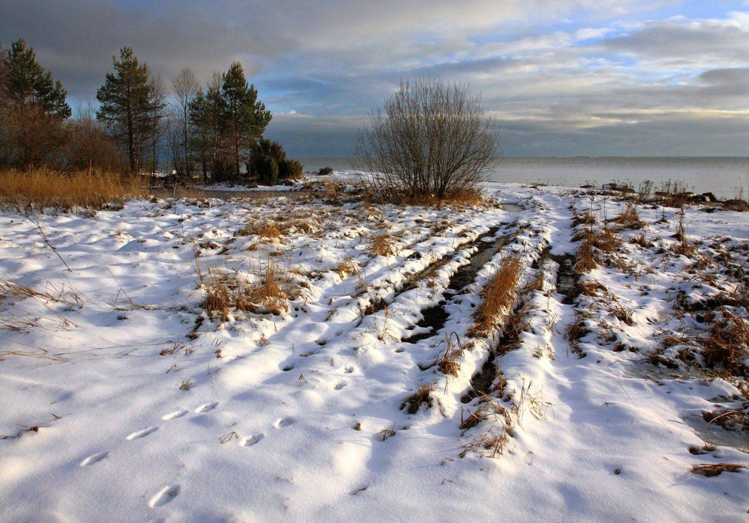 , Андрей Котов