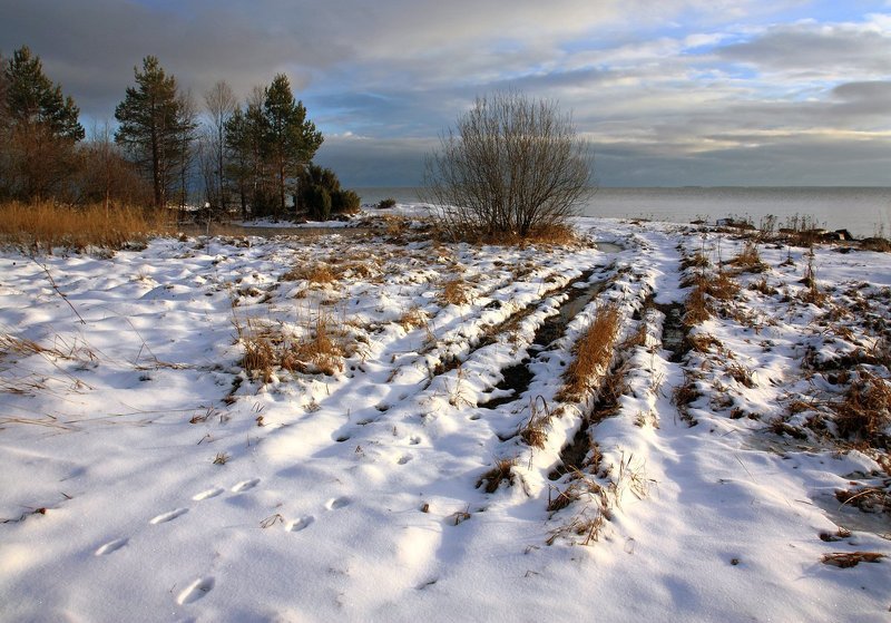 Зима на носуphoto preview