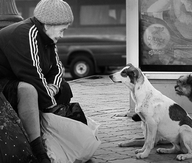 Другphoto preview