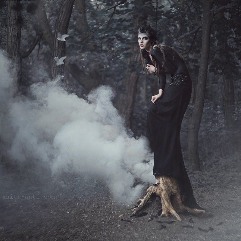 The Crowphoto preview