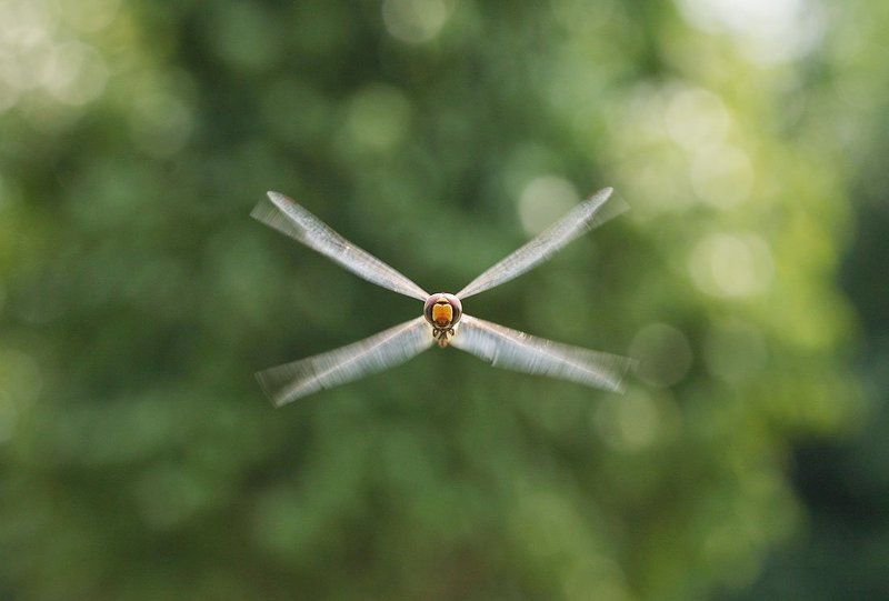 бомбардировщик бомбардировщикphoto preview