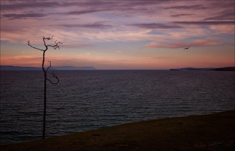 Вдохновениеphoto preview