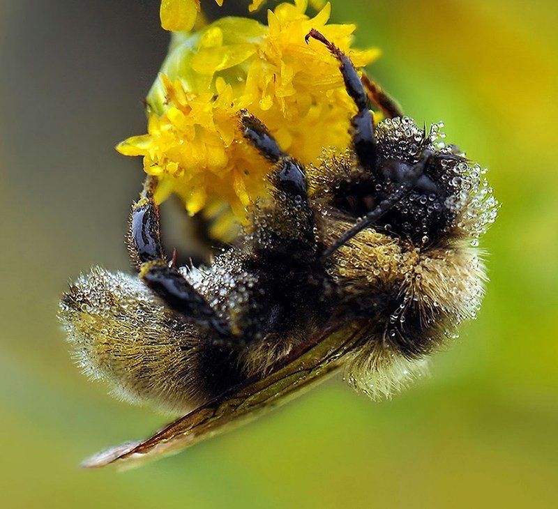 Нелетная погодаphoto preview