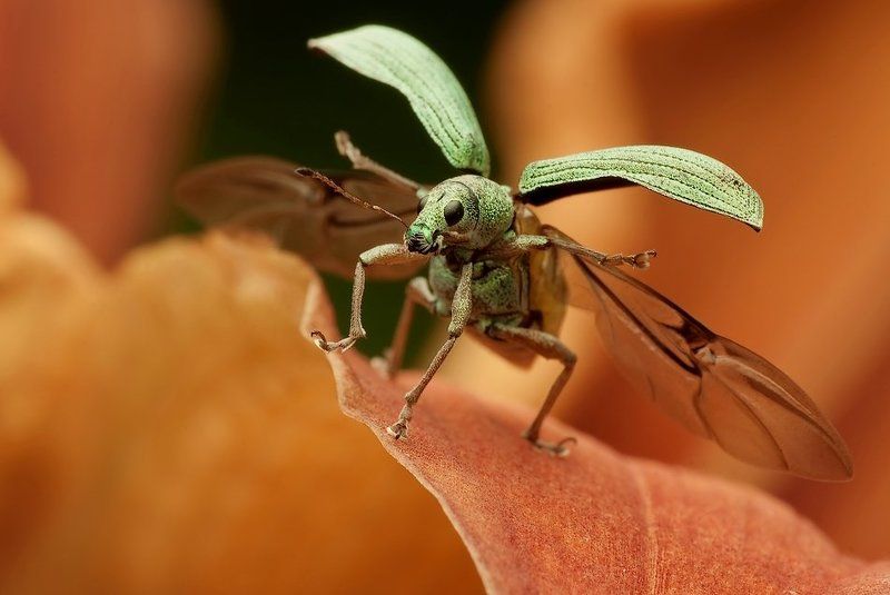 ulotna chwilaphoto preview