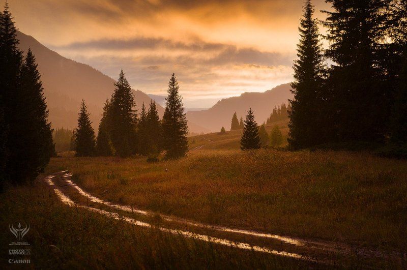 Под дождем...photo preview