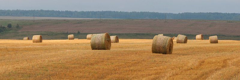 ...и робкий солнца луч пробился из-за хмурых туч...photo preview