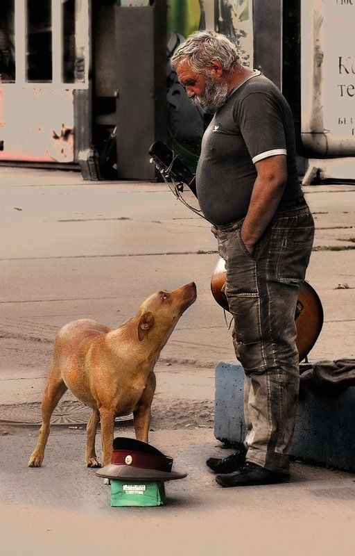 Братья по судьбеphoto preview