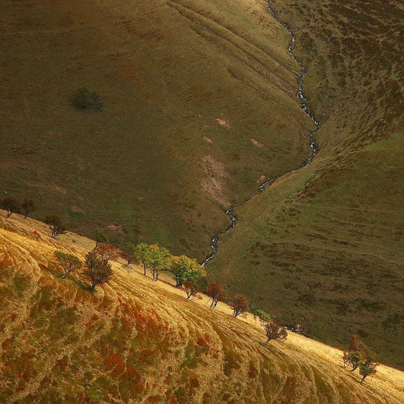 карпаты, Flight Above 11 фото превью