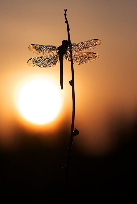 сентябрьский рассветphoto preview