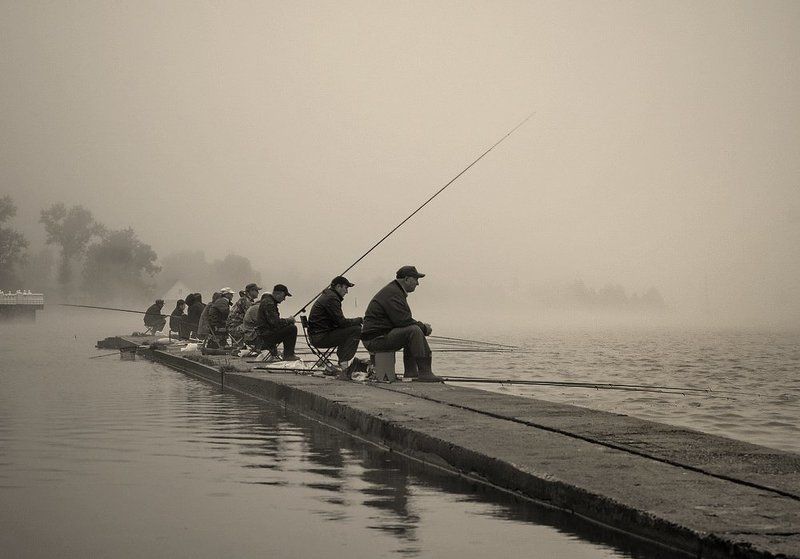 В тумане все едины... фото превью
